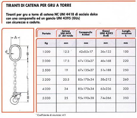 tiranti di catena per gru a torre